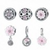 BAMOER New Arrival 925 Sterling Silver Magnolia Bloom Pale Cerise Enamel Beads For Women Bracelet - Pretty Petals - C0185507R4S