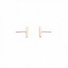 Midi Plated Rounded Earrings HONEYCAT in Women's Stud Earrings