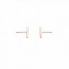 Midi Plated Rounded Earrings HONEYCAT in Women's Stud Earrings