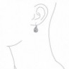 Bling Jewelry Teardrop Leverback Earrings in Women's Drop & Dangle Earrings