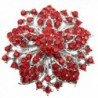 Bai You Mei Womens Brooch Pin With Fashion Jewelry Fancy Vintage Rhinestone Bling Crystal Bauhinia Flower - Red - CF183SE7QYE