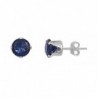 Sterling Silver Dark Blue 6mm Round Cubic Zirconia CZ Stud Earrings - CL118KYBQ4J