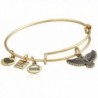 Alex and Ani Charity By Design Spirit of The Eagle Charm Expandable Bangle Bracelet - Rafaelian Gold - CI11XEXCXDJ