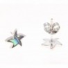 Sterling Hawaiian starfish abalone earrings