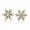 Snowflake Pave Setting Round Cubic Zirconia Gold Plated 925 Sterling Silver Stud Earrings - C8126GYJIT9