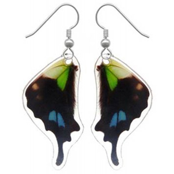 Real Butterfly Wing Earrings - Graphium Weiskei Bottom Wing - C911C032HGR