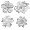 eGlomart Wedding Bridal Brooch Pin Crystal Broach Pin Bridesmaid Bouquet Kit - CA17XMKAMC5