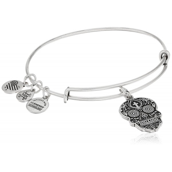 Alex and Ani Calavera Rafaelian Bangle Bracelet - Rafaelian Silver - C312JITSBYH