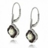 Sterling Silver Garnet Created Earrings