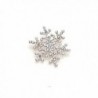Welcomeuni Fashion Brooch Pin Crystal Rhinestone Large Snowflake Winter Snow Theme - C2128F9DIGR