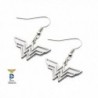 Licensed DC Comics Wonder Woman Logo 316L Stainless Steel Hook Dangling Earrings (with Gift Box) - CG11VFZVY7J