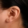 Earrings Rose Stainless Spiritual Dynamic Jewelry in Women's Stud Earrings