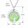 Stianless Aromatherapy Essential Diffuser Necklace