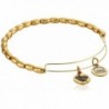 Alex and Ani Bangle Bar Jordan Expandable Wire Bracelet- 7.75" - Rafaelian Gold Finish - C9118VNED7B