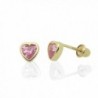 14K Yellow Gold Heart Cut Cubic Zirconia Bezel Setting Screwback Stud Earrings (Other Colors) - Pink - CG115GPTZYD