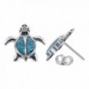 Gem Avenue 925 Sterling Silver Turquoise Inlay Southwestern Style Turtle Post Back Stud Earrings - CC114I1GRF1