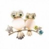 PANGRUI Gorgeous Clear Rhinestone Adorable Baby and Mom Owl Animal Bird Brooch Pins - gold - C0182KEYIEQ