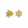 Bling Jewelry Winter Snowflake CZ Stud earrings Gold Plated 10mm - CZ11QH6JVTT