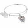 Alex and Ani Color Infusion- Calavera EWB Bangle Bracelet - Shiny Silver - C9182KIERNG