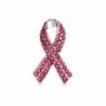 Bling Jewelry Pink Rhinestone Enamel Breast Cancer Pin Rhodium Plated - C7113AJ54ZP
