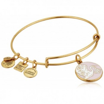 Alex and Ani Charity By Design Special Delivery Bangle Bracelet - Rafaelian Gold/Pink - CP11JV4J24N