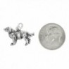 Sterling Silver Oxidized Dimensional Retriever