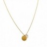 HONEYCAT Gold Moonstone Crystal Stone Charm & Disc Karma Necklace | Minimalist Delicate - CP128F23GQ1