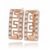 Olivia Star Rose Gold Plated Hypoallergenic Earrings for Women 鈩?5811- CZ Cubic Zirconia - C6189ZUWU8A