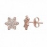 Sterling Silver Pave Snowflake Stud Earrings - CN12LPGNRJ5