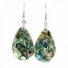 Mosaic Abalone(paua) Shell Inlay Tear-drop Earrings - CW17Z5693TT