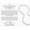 Freshwater Cultured Pearl Amethyst Necklace in Women's Pendants