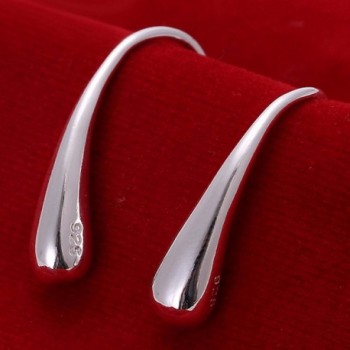 Naivo Waterdrop Silver Teardrop Earrings