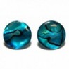 14mm (5/8") Dark Blue Abalone Paua Shell Stud Earrings (S090d) - CT17YE42H43