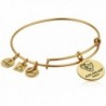 Alex Ani Charity Rafaelian Bracelet