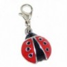 Jewelry Monster Clip-on "Black and Red Ladybug" Charm Bead - CR11TJD1NGL