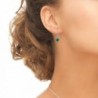 Sterling Leverback Earrings Swarovski Crystals in Women's Drop & Dangle Earrings