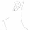 Bling Jewelry Simulated Amethyst Birthstone in Women's Stud Earrings