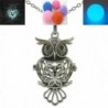 Vintage Silver / Glow in the Dark / Owl Locket Necklace for Essential Oils Perfume Diffuser Necklace - CD12E91X3E7
