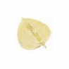 Perfect Jewelry Gift 24k Gold Dipped Aspen Leaf Pin - CD11MZWT7YN