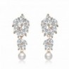Valentine's Day Gift- Incaton Fashion Womens Teardrop Earrings Gifts for Women Girls - Leaf Earrings - C7185DUHMCH