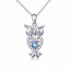 S925 Sterling Silver Lucky Owl Necklace for Women- Rolo Chain 18" - CV182T7KHLZ