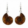 Justinstones Natural Ammonite Fossil Earrings - CA125GFMDOB