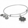 Alex and Ani Healing Love II Bangle Bracelet- Expandable - Rafaelian Silver - CS182XGE483