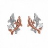 Sterling Silver with 14kt Rose Gold Plated Accents Double Dolphin Stud Earrings - C611CR4B1IT