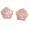 Personalized AAA Cubic Zircon Clip on Earrings Platinum/Gold/ Rose Gold Plated Earring - rose gold plated - CA12NA8GIFN
