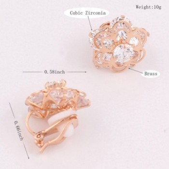 Personalized Zircon Earrings Platinum Earring