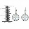 Austrian Crystal Silver Framed Earrings