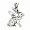 Sterling Silver Oxidized Three Dimensional Jackalope Rabbit Charm - C71165FBN9D