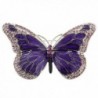 Purple Enamel Crystal Butterfly Pin Brooch - C4114AXPZ4Z