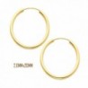 14K Yellow Gold 20 mm in Diameter Endless Hoop Earrings with 2.0 mm in Thickness - CT11OK94DAL